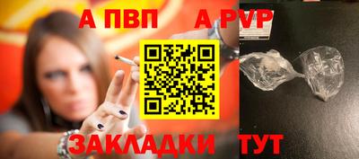 СК Новодвинск