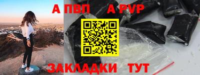 СК Новодвинск