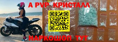 СК Новодвинск