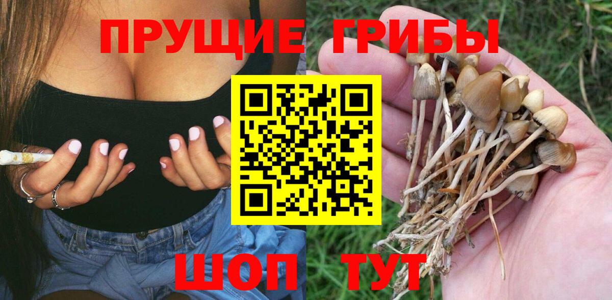 Галлюциногенные грибы ЛСД Среднеуральск