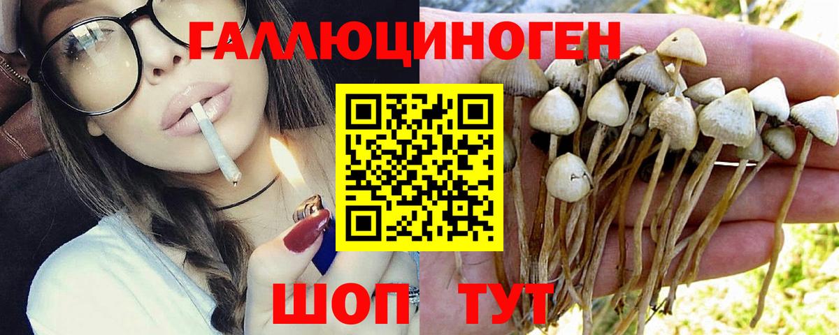 Псилоцибиновые грибы мухоморы  Вход с VPN  Среднеуральск 
